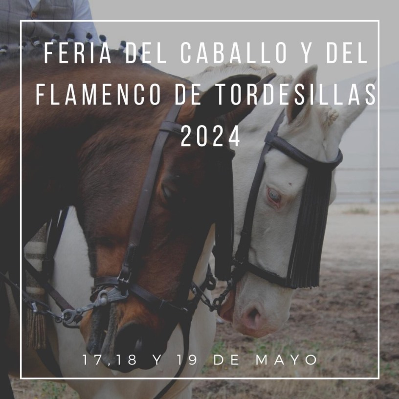 Feria del Caballo y del Flamenco