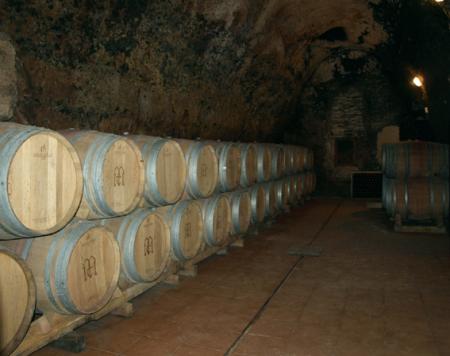  Image Wine tourism in Tordesillas