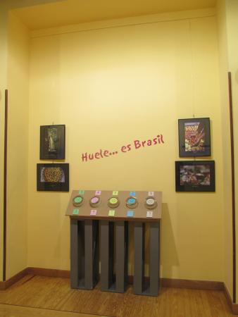 Imagen de Exposición-Descubre-Brasil-382